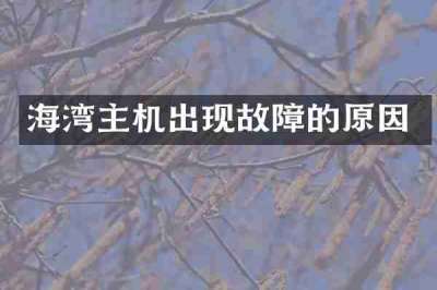 海湾主机出现故障的原因