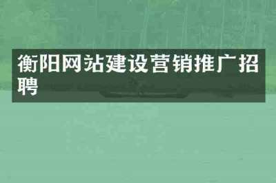 衡阳网站建设营销推广招聘