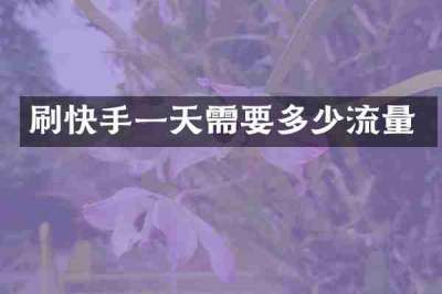 刷快手一天需要多少流量