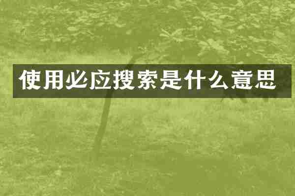 使用必应搜索是什么意思