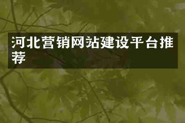 河北营销网站建设平台推荐