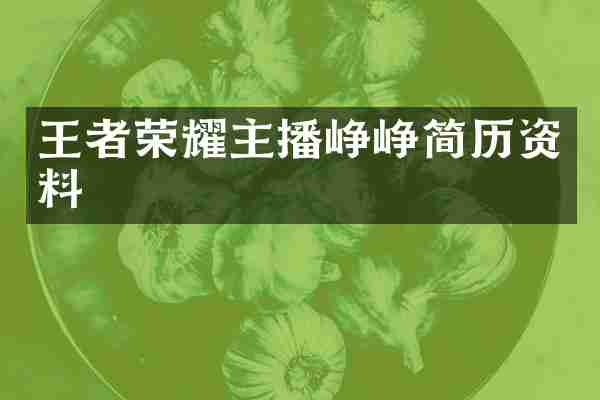 王者荣耀主播峥峥简历资料