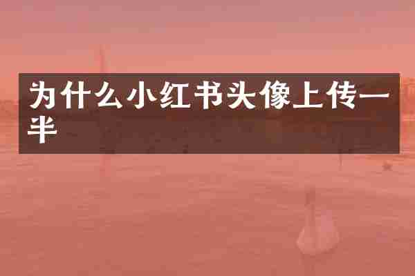 为什么小红书头像上传一半