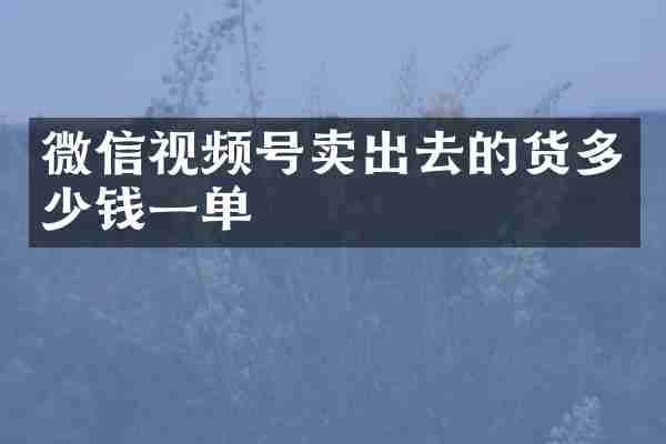 微信视频号卖出去的货多少钱一单
