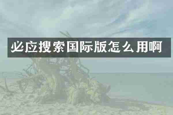 必应搜索国际版怎么用啊