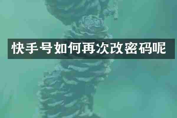 快手号如何再次改密码呢