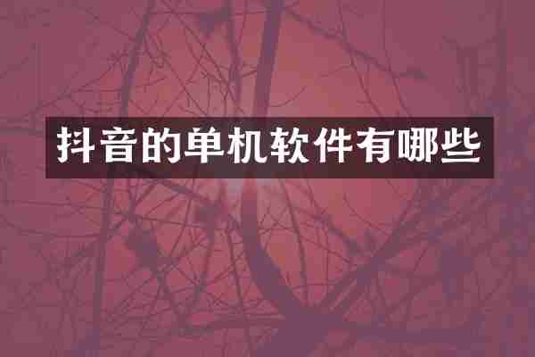 抖音的单机软件有哪些