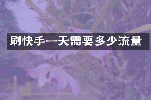 刷快手一天需要多少流量