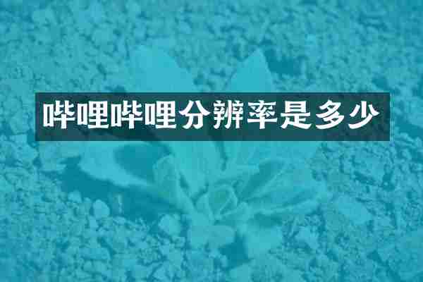 哔哩哔哩分辨率是多少