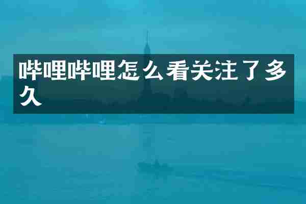 哔哩哔哩怎么看关注了多久