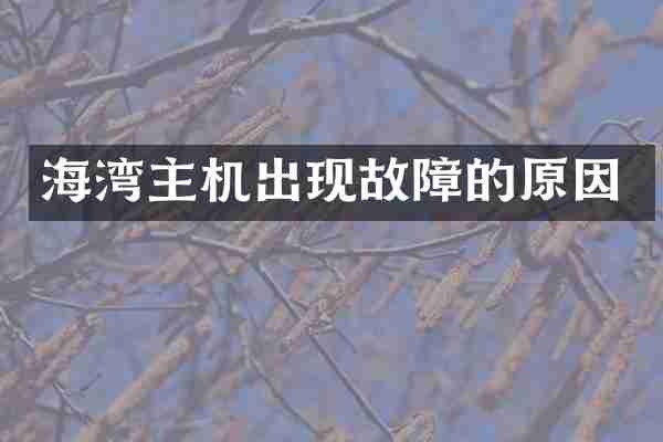 海湾主机出现故障的原因