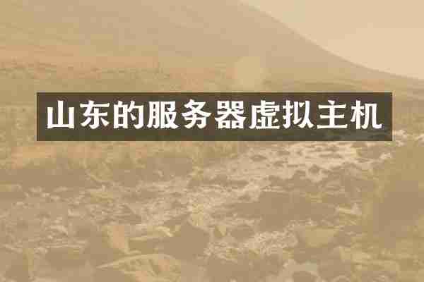 山东的服务器虚拟主机