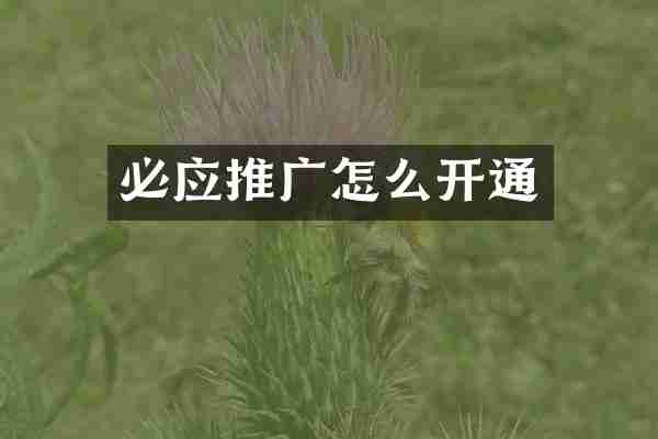 必应推广怎么开通