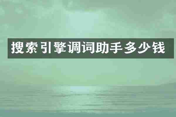 搜索引擎调词助手多少钱