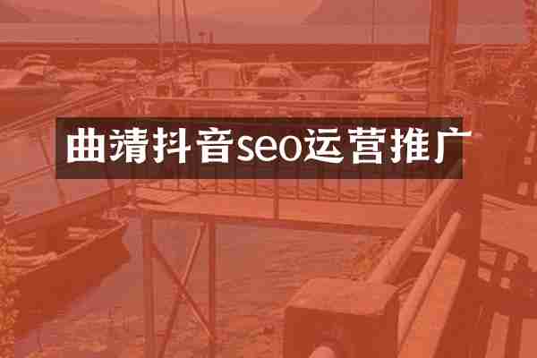 曲靖抖音seo运营推广