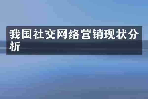 我国社交网络营销现状分析