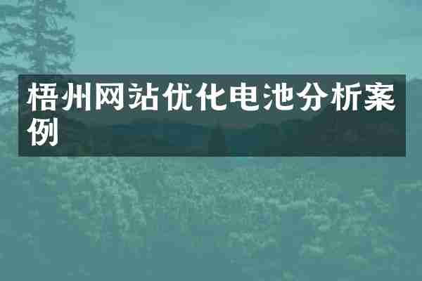 梧州网站优化电池分析案例