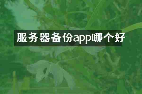 服务器备份app哪个好