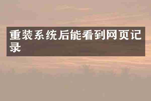 重装系统后能看到网页记录