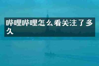 哔哩哔哩怎么看关注了多久