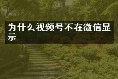 为什么视频号不在微信显示