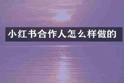 小红书合作人怎么样做的