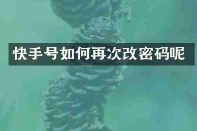 快手号如何再次改密码呢