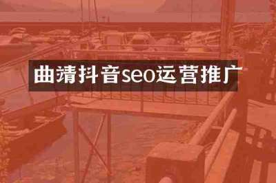 曲靖抖音seo运营推广