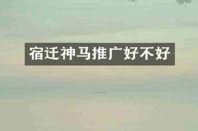 宿迁神马推广好不好