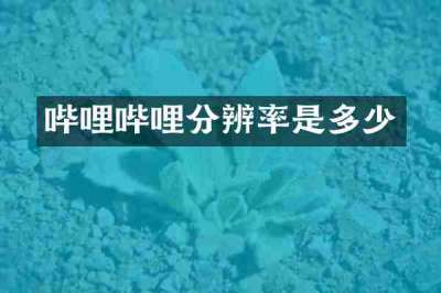 哔哩哔哩分辨率是多少