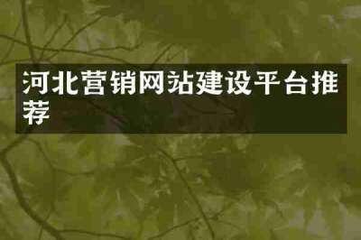 河北营销网站建设平台推荐