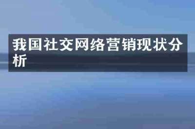 我国社交网络营销现状分析
