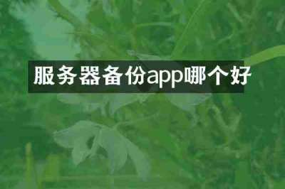 服务器备份app哪个好