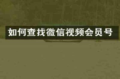 如何查找微信视频会员号
