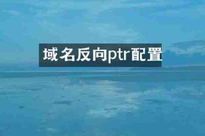 域名反向ptr配置