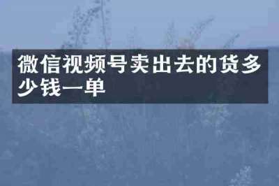 微信视频号卖出去的货多少钱一单