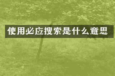 使用必应搜索是什么意思