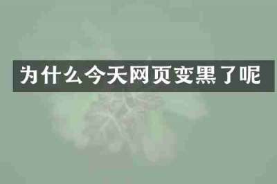 为什么今天网页变黑了呢