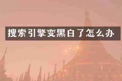 搜索引擎变黑白了怎么办