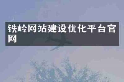 铁岭网站建设优化平台官网