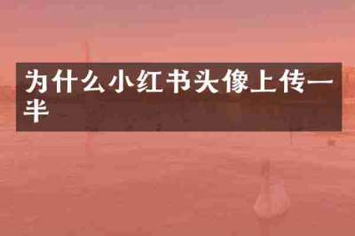 为什么小红书头像上传一半