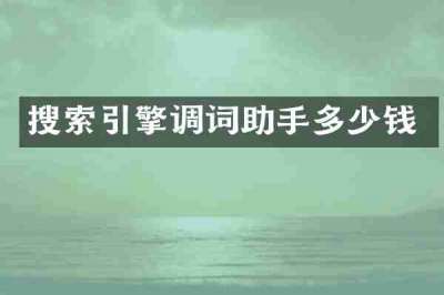 搜索引擎调词助手多少钱