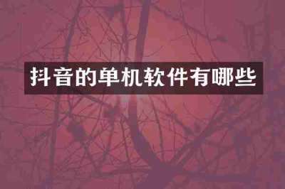 抖音的单机软件有哪些