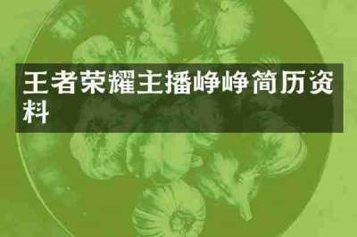 王者荣耀主播峥峥简历资料