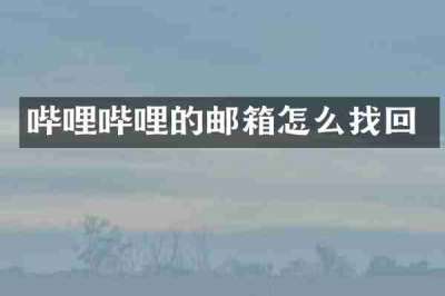 哔哩哔哩的邮箱怎么找回