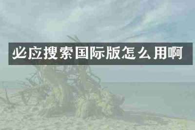 必应搜索国际版怎么用啊