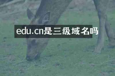 edu.cn是三级域名吗