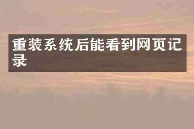 重装系统后能看到网页记录