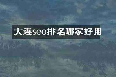 大连seo排名哪家好用