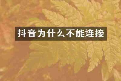 抖音为什么不能连接